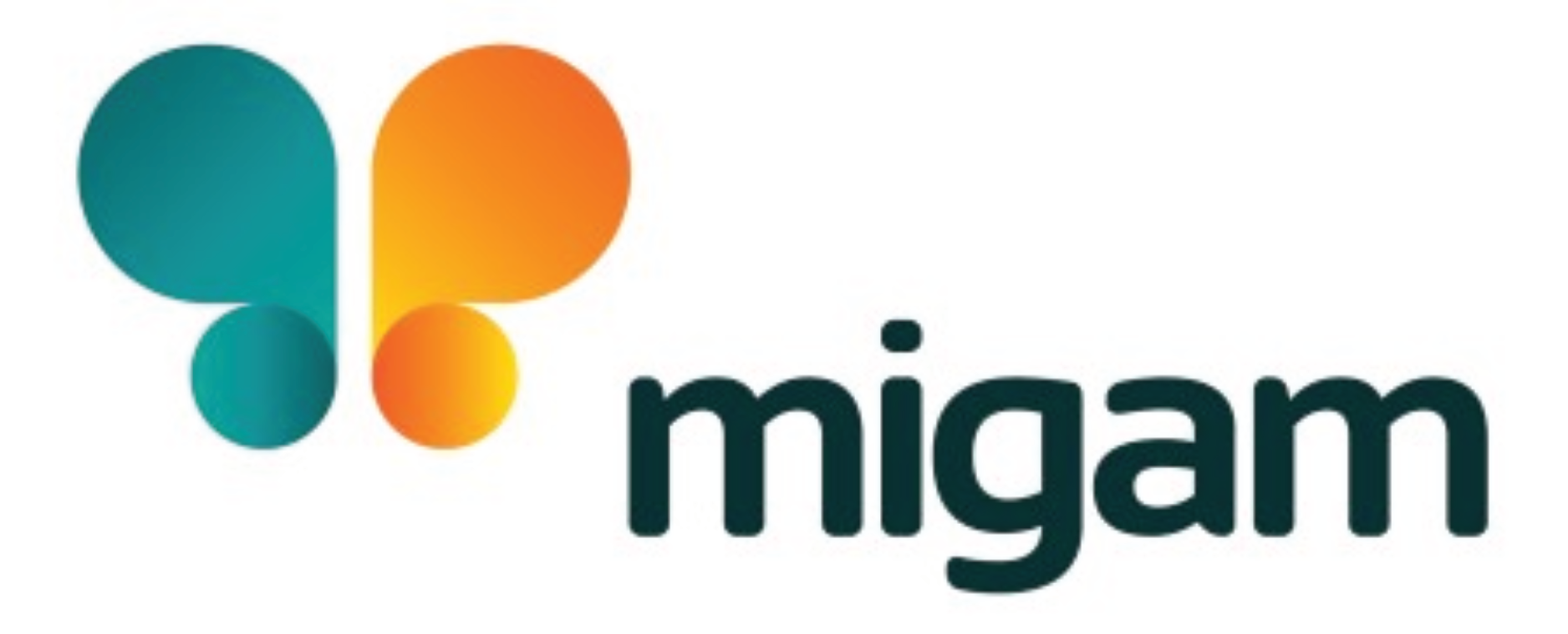 logo firmy MigamSA